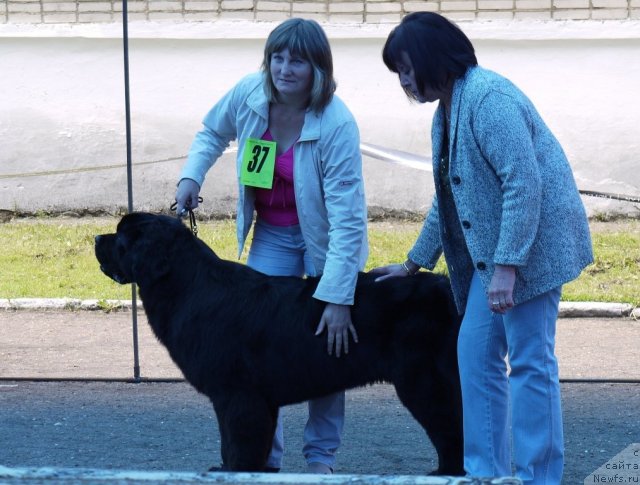 Фотография № 69363