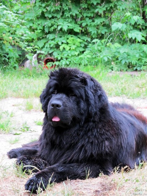 Фотография № 69383