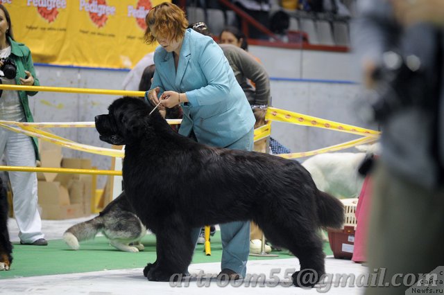 Фотография № 69407