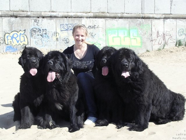 Фотография № 69413