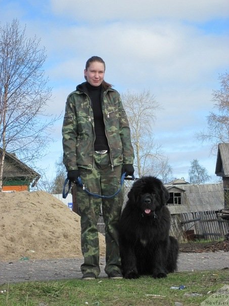 Фотография № 69415