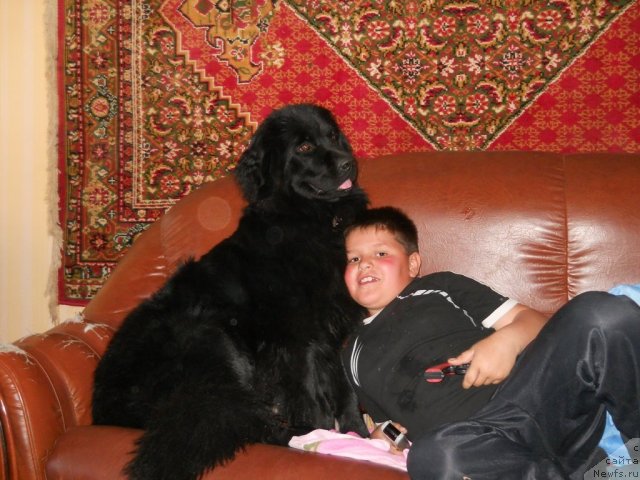 Фотография № 69430