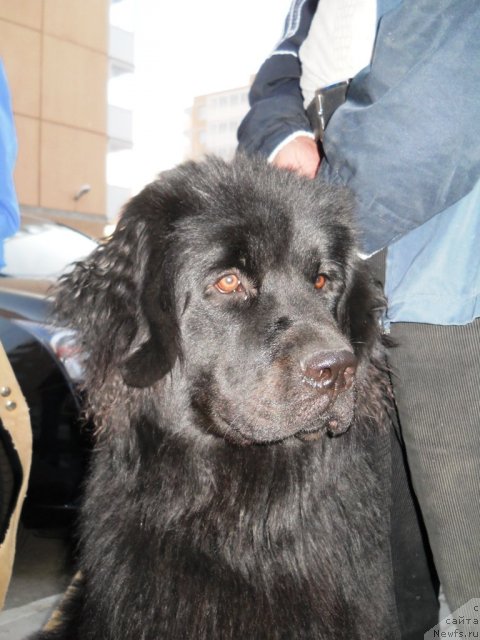 Фотография № 69431