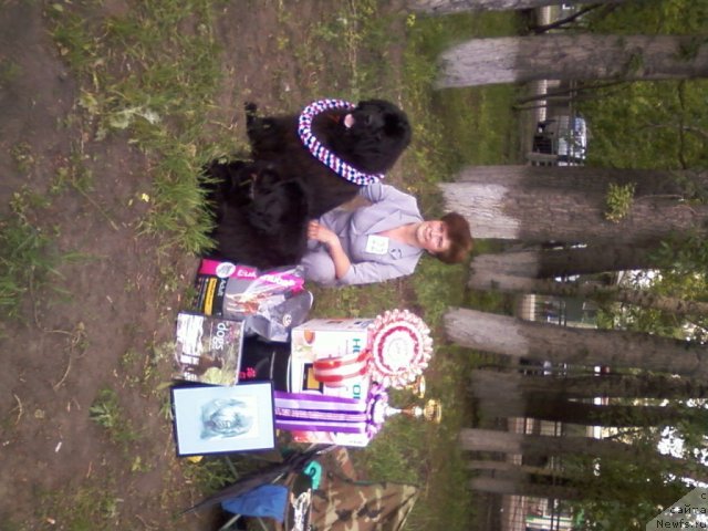 Фотография № 69441