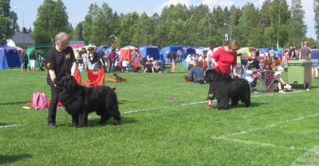 Фотография № 69443