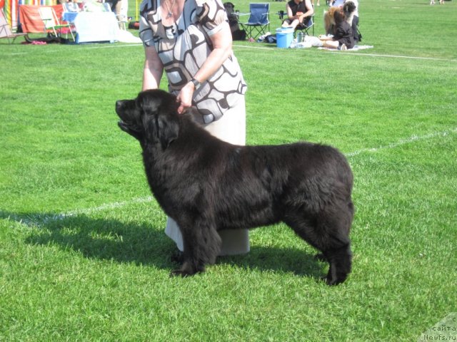 Фотография № 69447