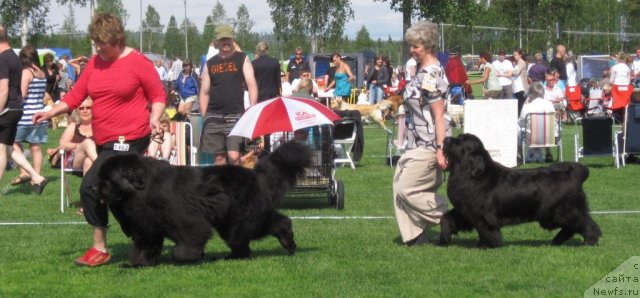 Фотография № 69449