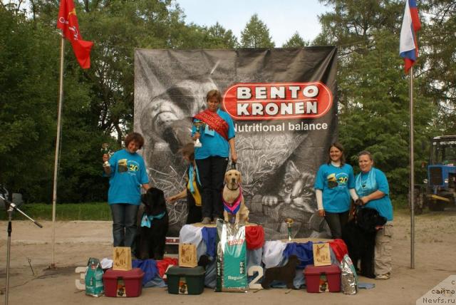 Фото: ньюфаундленд Талула Белл (Talula Bell), Анна Ковалёва