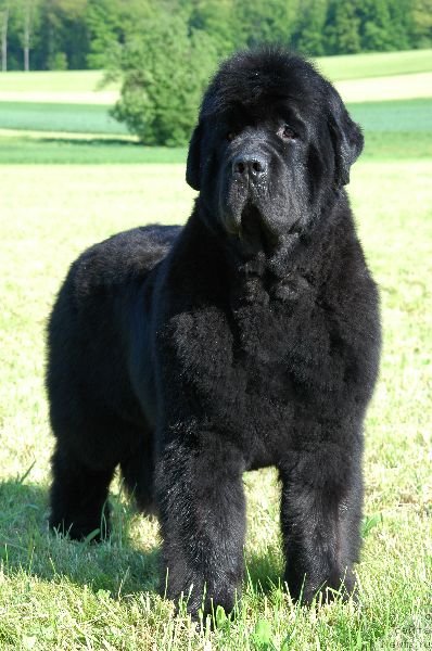 Фотография № 69462