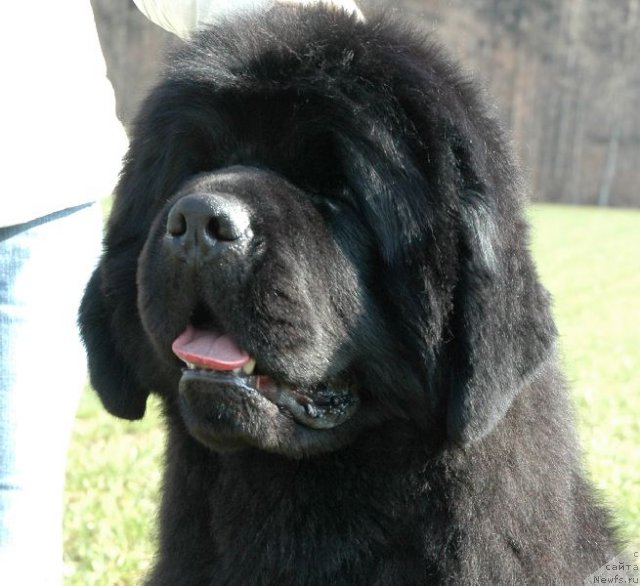 Фотография № 69465