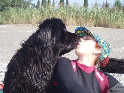 Фотография № 6948