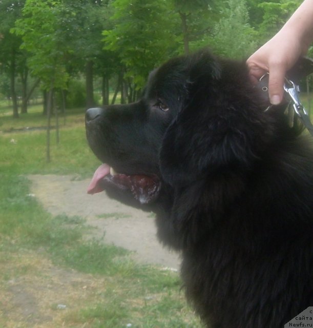 Фотография № 69486