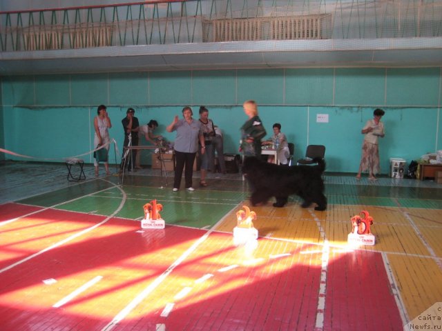 Фотография № 69489