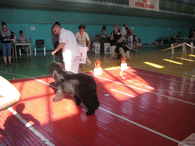 Фотография № 69490