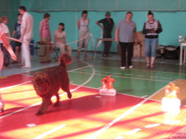 Фотография № 69493