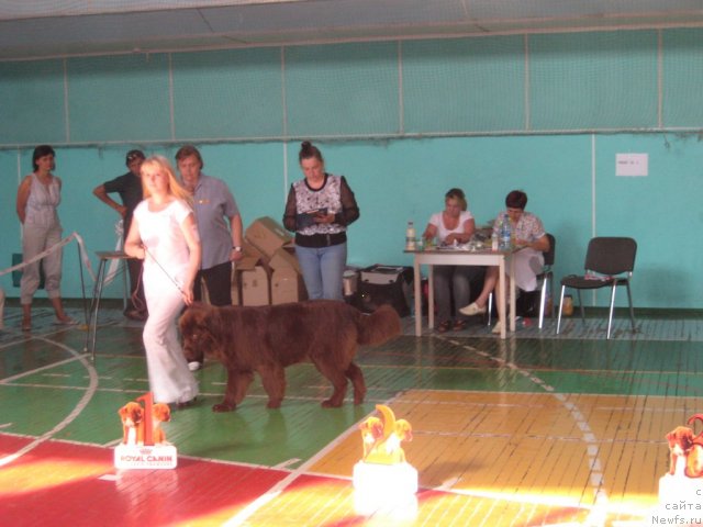 Фотография № 69494