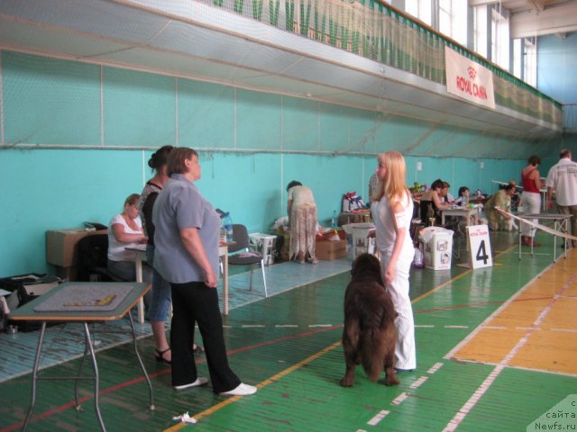 Фотография № 69495