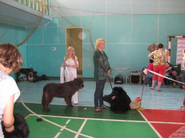 Фотография № 69496