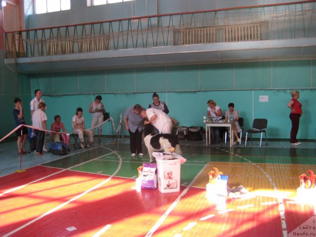 Фотография № 69499