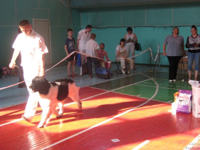 Фотография № 69501