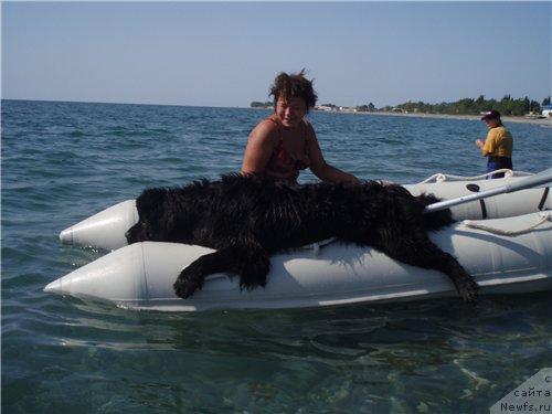 Фотография № 6951