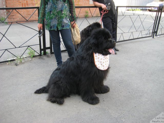 Фотография № 69510