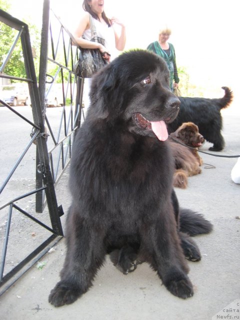 Фотография № 69511