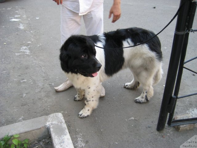 Фотография № 69512