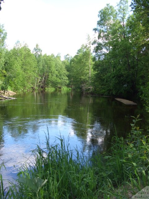 Фотография № 69544