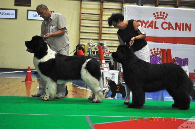 Фотография № 69557