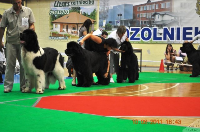 Фотография № 69558