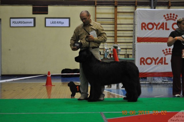 Фотография № 69564