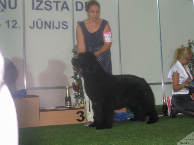 Фотография № 69571