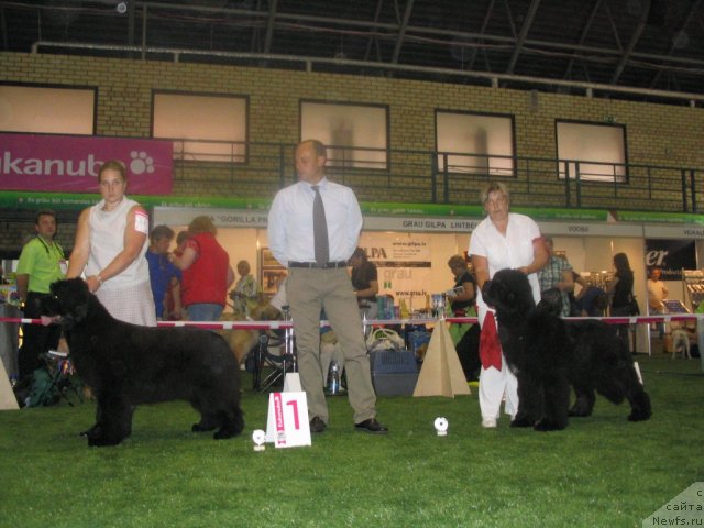 Фотография № 69572