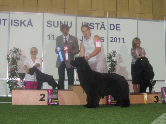 Фотография № 69573