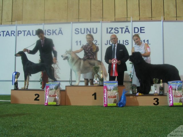 Фотография № 69574