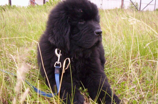 Фотография № 69596