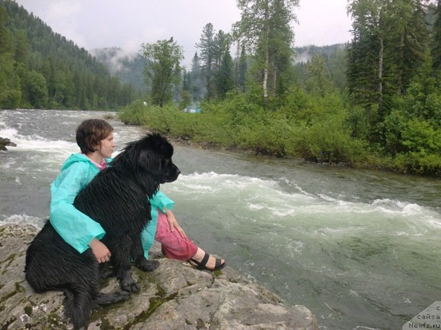 Фотография № 69611