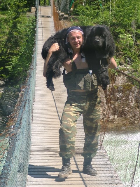 Фотография № 69613