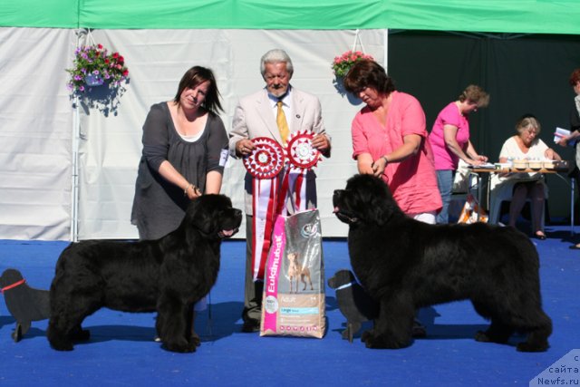 Фотография № 69657