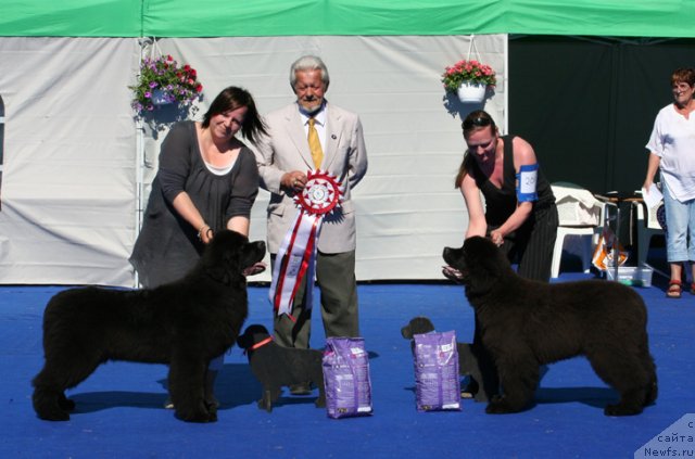 Фотография № 69658