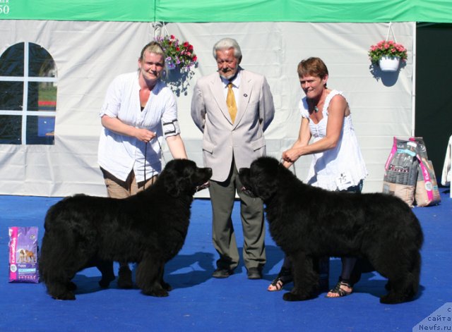 Фотография № 69659