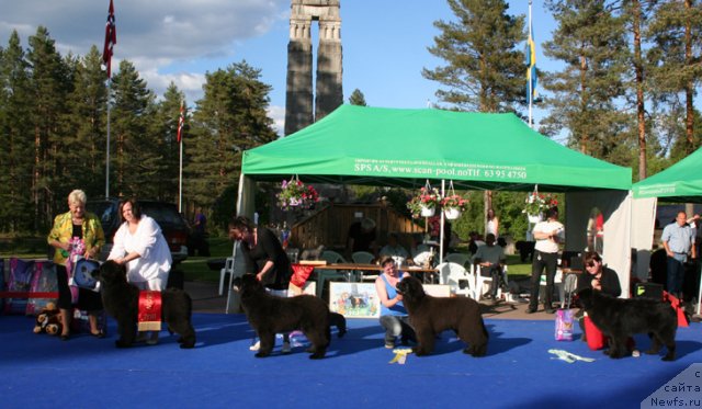 Фотография № 69665