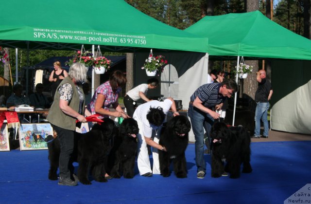 Фотография № 69669