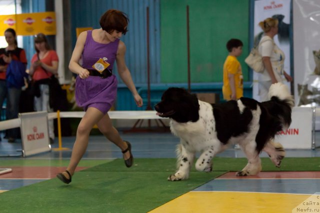 Фотография № 69672