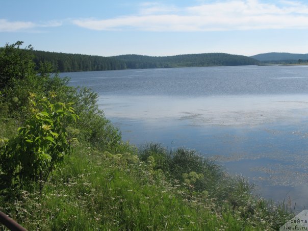 Фотография № 69683