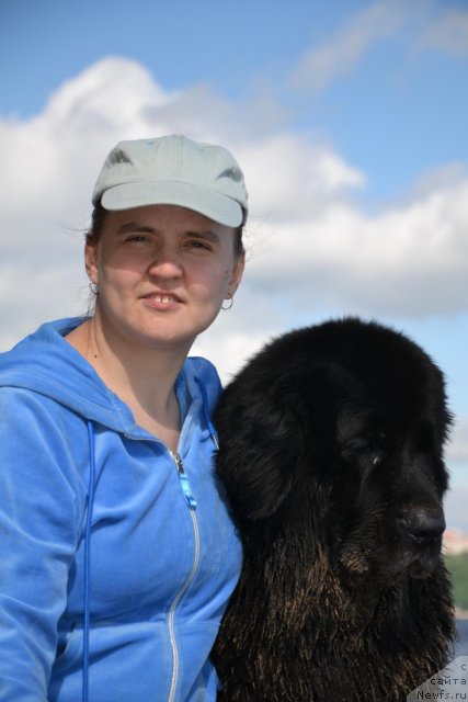 Фото: Диана Ларина, ньюфаундленд Лесная Сказка Раскрасавица