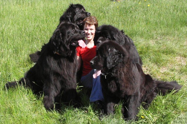 Фотография № 69737