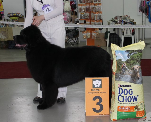 Фотография № 69741