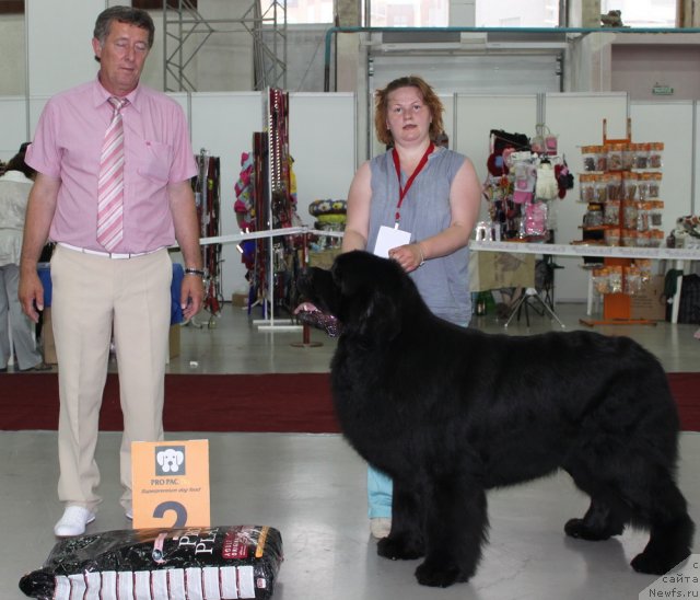 Фотография № 69742